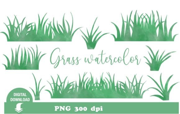 A Brand Designer's Review of Grass Watercolor Clipart Graphics