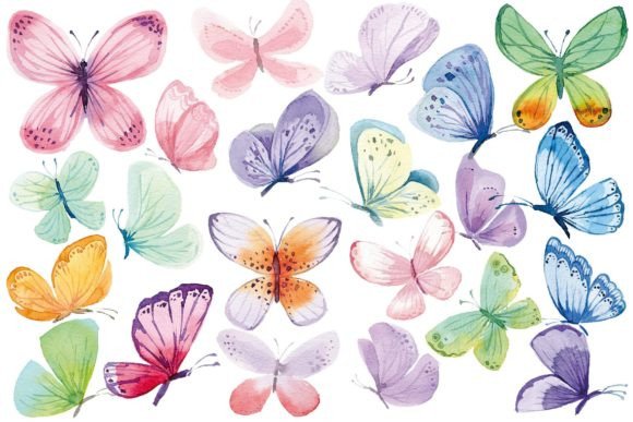 A Hands-On Review of Colorful Butterflies: A Designer's Asset
