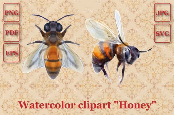 A Honeybee Illustration for Branding & Product Graphics