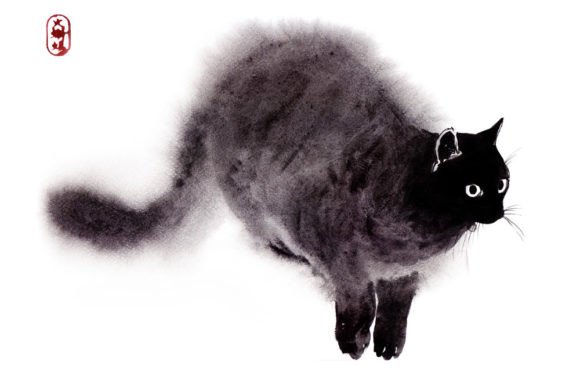 A Zen-Inspired Graphic: Reviewing the Black Cat Illustration