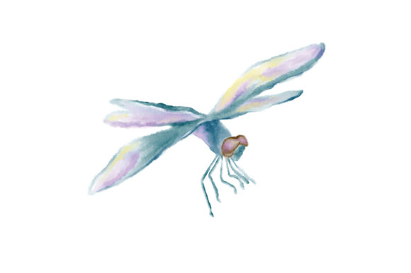 Beyond Clipart: The Watercolor Dragonfly for Authentic Crafts and Animals Themes