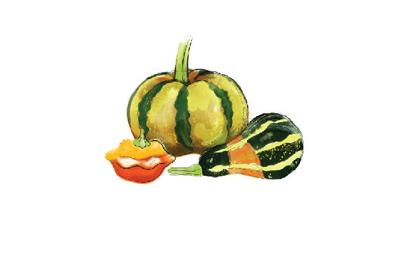 Bringing Watercolor Gourds from File to Fabric