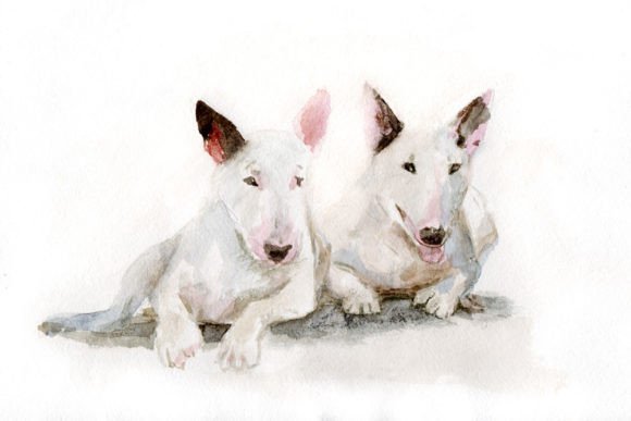 Evaluating a Watercolor Bull Terrier for Embroidery