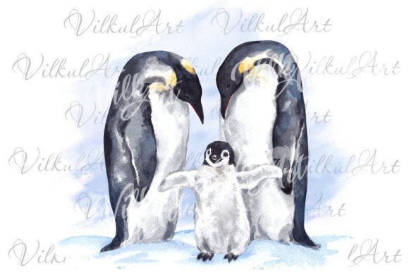 Sublimation Watercolor Cng Penguin Graphics for Illustrations