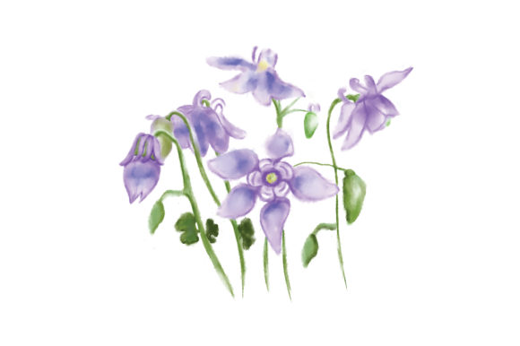 The Elegant Simplicity of a Watercolor Botanical Flower Print