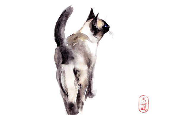 Using a Watercolor Siamese Cat Illustration for Brand & Marketing Graphics