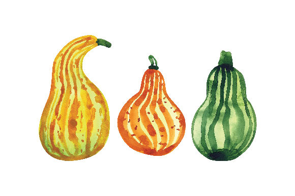 Watercolor Gourds as a Fresh Branding Asset for Food & Crafts