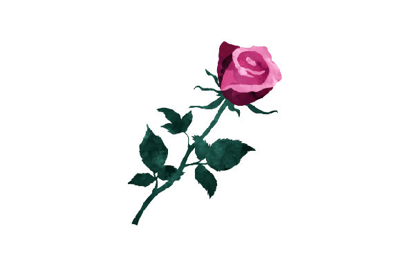 Watercolor Rose: A Crafts & Nature Asset for Distinctive Branding